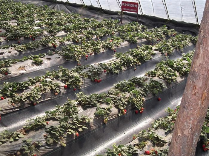 1567041401122320.jpg 微信圖片_20190829091615.jpg