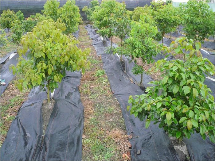 1567041415739035.jpg 微信圖片_20190829091617.jpg